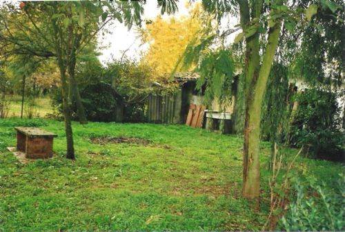Photo 37